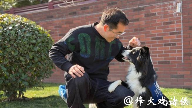 现实版“汪汪队立大功”!狗狗变身“疗愈师”,背后是一场14年的坚持 现实版“汪汪队立大功”!狗狗变身“疗愈师”,背后是一场14年的坚持